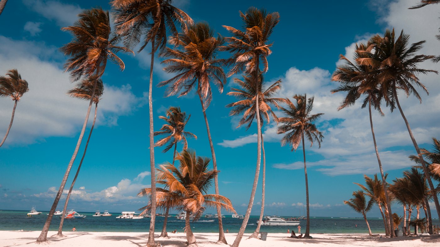 Coqueiros e mar azul em praia de Punta Cana